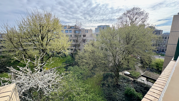 Medium property photo - Burgemeester Patijnlaan, 2585 BX The Hague